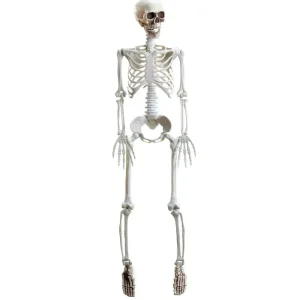 Esqueleto Articulado George Decorativo Halloween