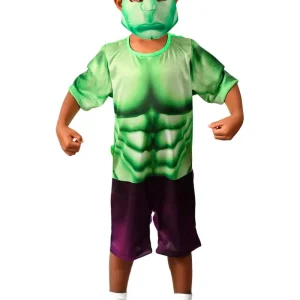 Fantasia Infantil Hulk