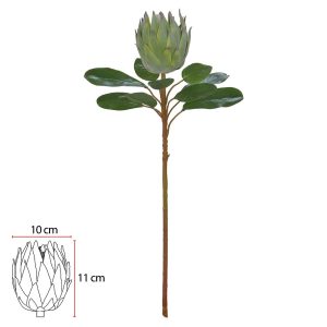 HASTE PROTEA FROSTED VERDE 70cm