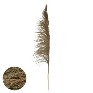PLUMA PENDAO CANABRAVA C/ 3 HASTES DESIDRATADO (NATURAL) 150CM