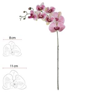 HASTE ORQUIDEA PHALAENOPSIS REAL TOQUE X7 (BEAUTY CREME) 82cm