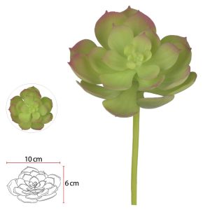 FOLHAGEM SUCULENTA (VERDE VERMELHO) 16cm