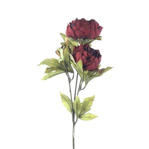 HASTE PEONIA OUTONADA 72CM X3 FLORES
