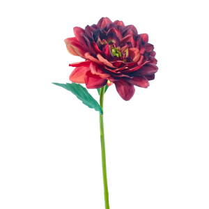 DALIA UNITARIA 30CM