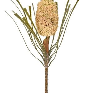 HASTE  PROTEA BEGE