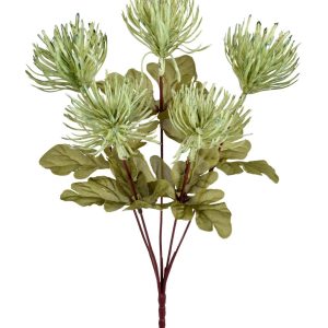 BUQUE LICOSPERMUM X5 VERDE