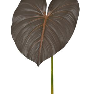 HASTE FOLHA ALOCASIA EM PVC MARROM