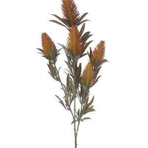 HASTE SEMENTES SILVESTRES X5 LARANJA OUTONO
