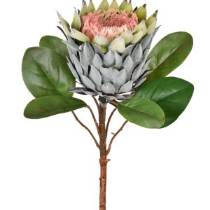 HASTE  PROTEA VERDE