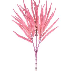 HASTE  CATTAIL X3 ROSA