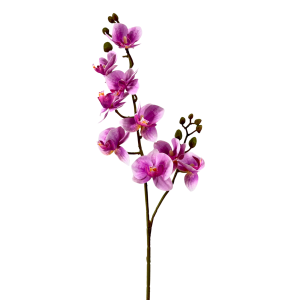 HASTE MINI ORQUIDEA 53CM X2