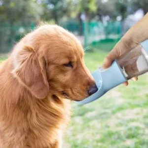 Glube - Cantil Portátil para Animais de estimação