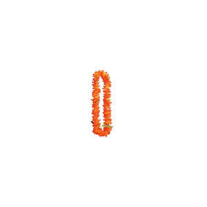 Colar Havaiano Laranja