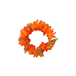 Coroa Havaiana Laranja