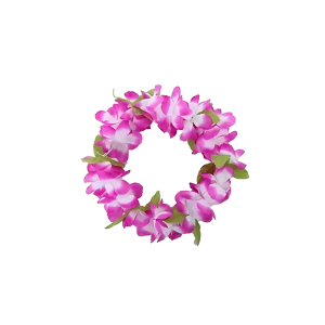 Coroa Havaiana Roxa